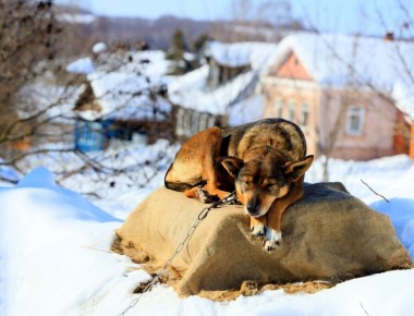 ��������� ���� � ������� ������