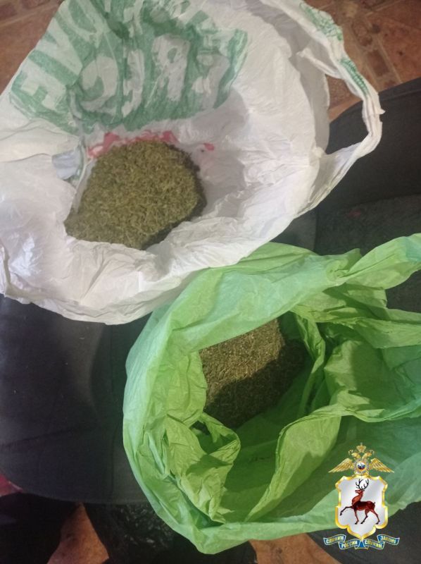 В Городце задержан мужчина за хранение крупной партии наркотиков