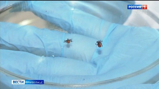 ������ ���������� ������ ��������� � ������� ������ �����