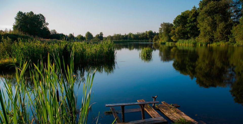 ��� ������� ������� �� ����� ���������� ������� ����������� ��������� �� �������� ����������