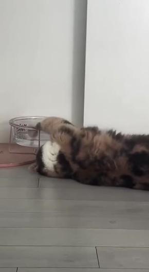 ������ ��������� ����!. ��� �� �������, ��� ����� ��������� ���� ������� ����������