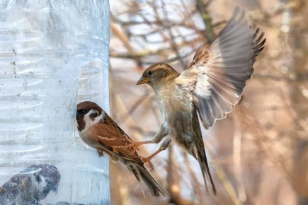 ������ ����, ������� ������! ����� ���� ���������� ���� ������� ��� ������� ���������� � �������� ������!