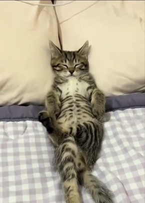 � �������� ������������!. ���� ������ ���� �������� ������� ������� ������� �������: VK | MAX