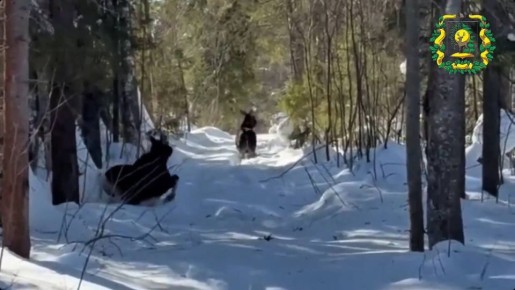 �������� ����� ������ �� ������ ������������������ � ������������� �������