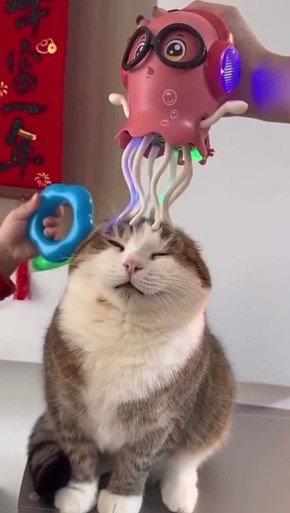 ���� �������� �����!. ���� ��������� ���� �������� ������� ������� ������� �������: VK | MAX