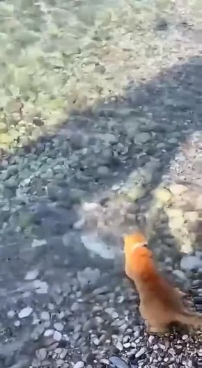 ������ ����, ����������!. � �� ��� ��� ��� ��� ���������� �������� ��������