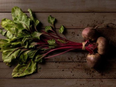 ��� �� �����������: ������������ ��������� ����� � ������� � ����� �������