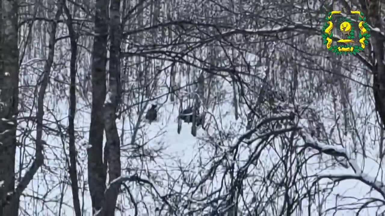 Группа лосей попала в объектив охотинспекторов в Нижегородской области