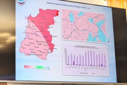 ������������, ������ ��������