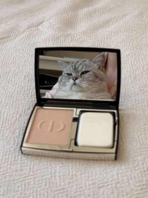 ����� ���, ���������, �����...�