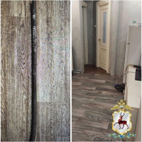 ������ ����������� ������ ���� ���������� ���������� ���� �� ������ ���������