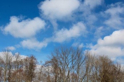 ������ ������ ���������� �������� ������������