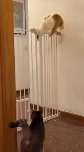 ������������ �� �����. ����� ����� ��� ������! ������� ����