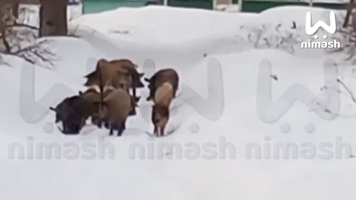 ���� ������ ������ � ������ ���� �������� ������ � ������������ ������