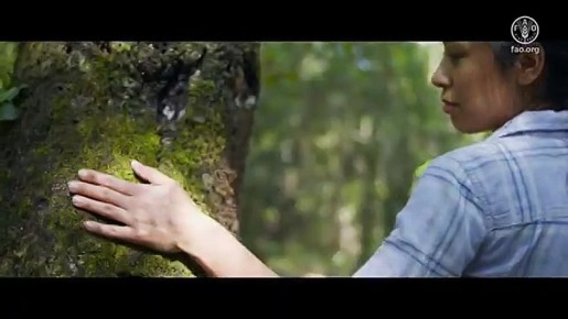 ������������� ���� ����� �������� ���������� 21 �����