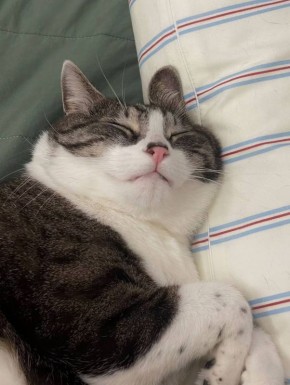 �������� �������. ������� ������� �������: VK | MAX