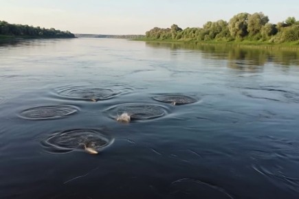 Доброе утро, нижегородцы!. Сегодня в Нижнем температура воздуха: утром