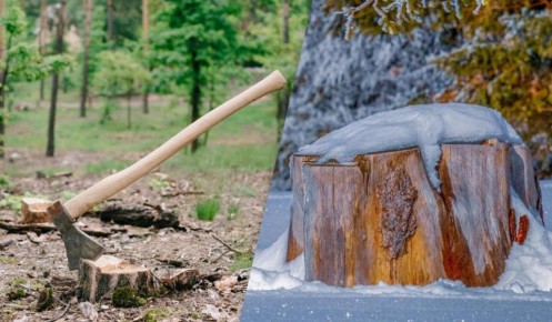 ������ ���� � ���� ����� ����� ����� ������ ����������