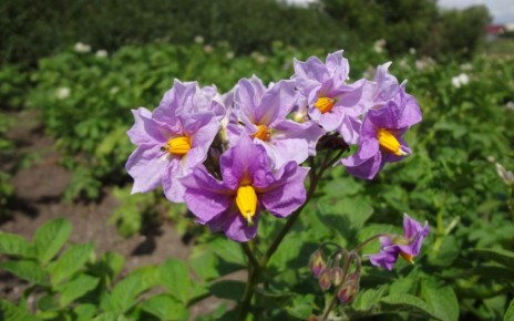 ������ ��������� ����� ����� ����� ������ ������ �� ����