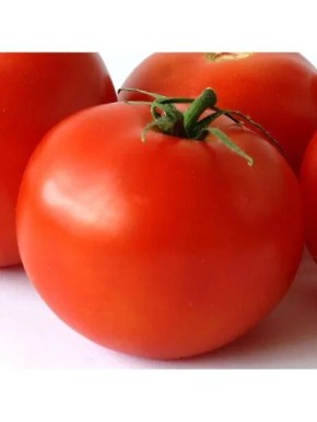 ����� ��������: ��������� ����� ��� ������ ������� � ������ ��������