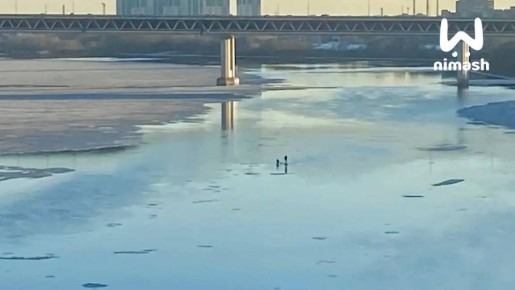 ��������� �������� ����������� ������� � ���������� ������ �� ���, � ��� ��������� ���������� ����������