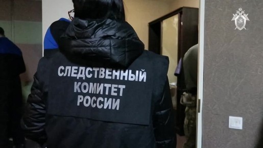 В Нижегородской области генеральный директор компании по благоустройству ландшафта признан виновным в мошенничестве