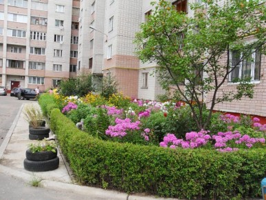 ������ � ��������: ��� ������� ���� �������� � �� ������� �� ����� � 2026 ����