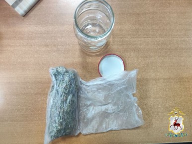 Житель региона привлекается к уголовной ответственности за покушение на незаконный оборот марихуаны