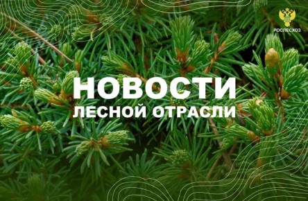 ЛесПром: «Рослесхоз»: в регионах проверят качество искусственного лесовосстановления