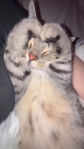 ��� � ����������� ������� ������