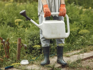 Как победить сорняки: Эффективные народные методы для вашего сада