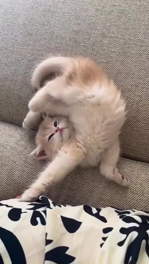 Доброе субботнее утро!. Потянулись, улыбнулись и бегом