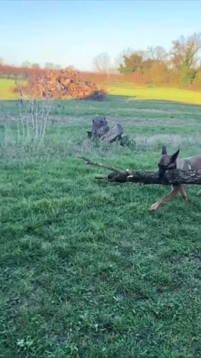 С началом новой рабочей недели!