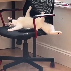 ������� ���������� � ������