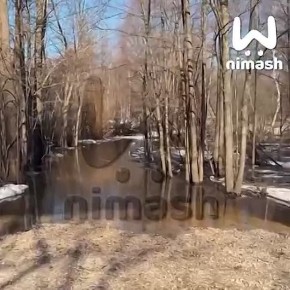 ���� ������� �������� ������ � ����������� � ����� ����� � ����������� ������