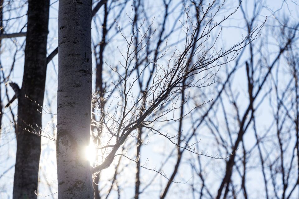 ������� � ������ ��������� ��������