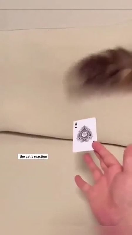 ������ ��������������� ����!)