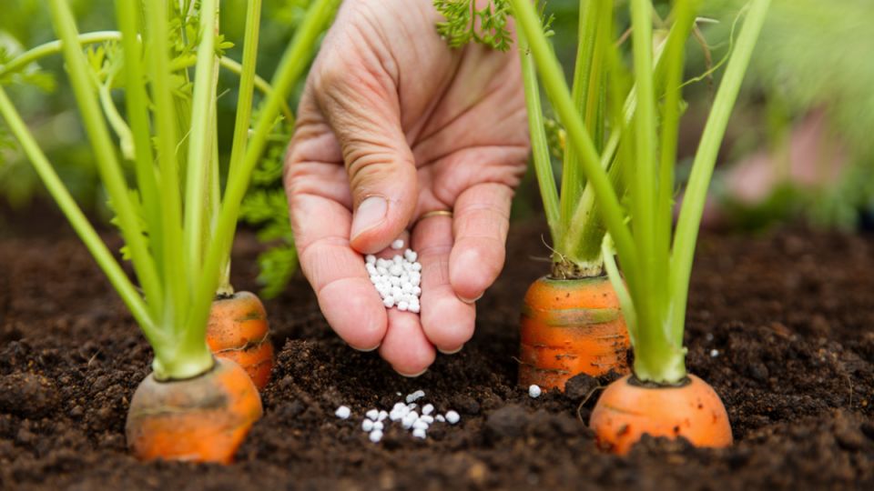 ��� ��������� ������� �� �����: ������� ��������� �������� � ���������