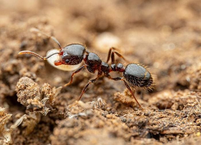 ���������� ����� ������ � ��������� � ���� �� ����