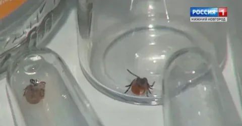 ������ ������� � ������������� ������� ��������� �� ����� �����