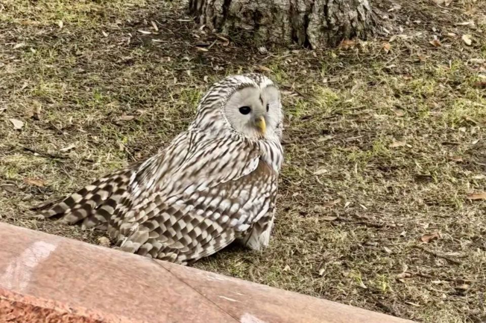 ����� ������ ��������: � ������������� ������ ������ ����