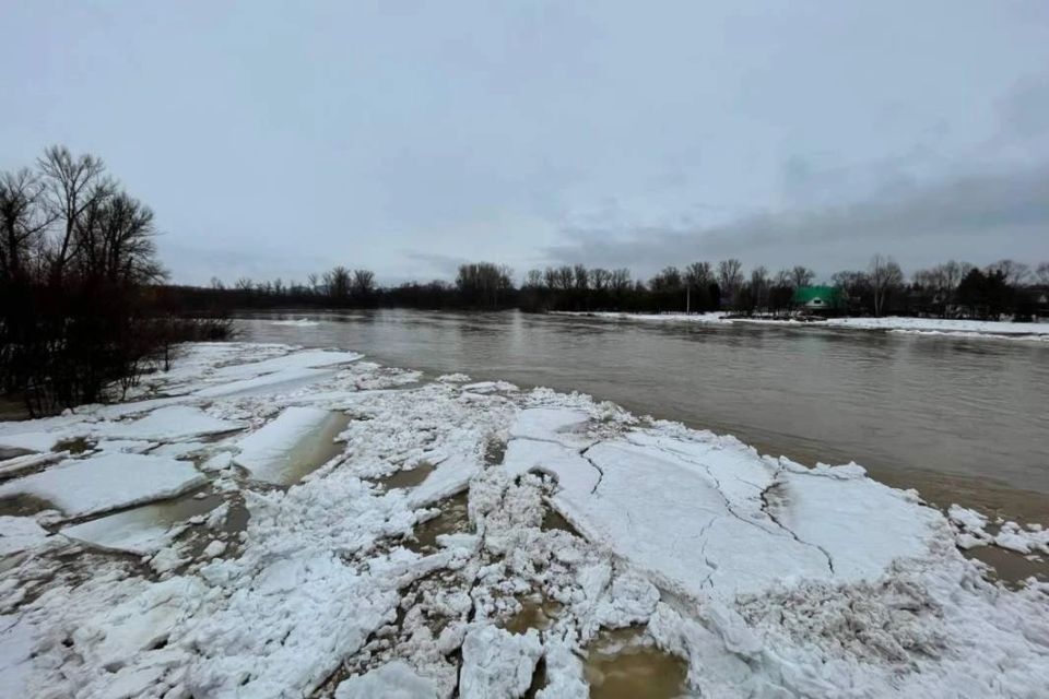 � ��������� ������� ��������� � ���������� ������