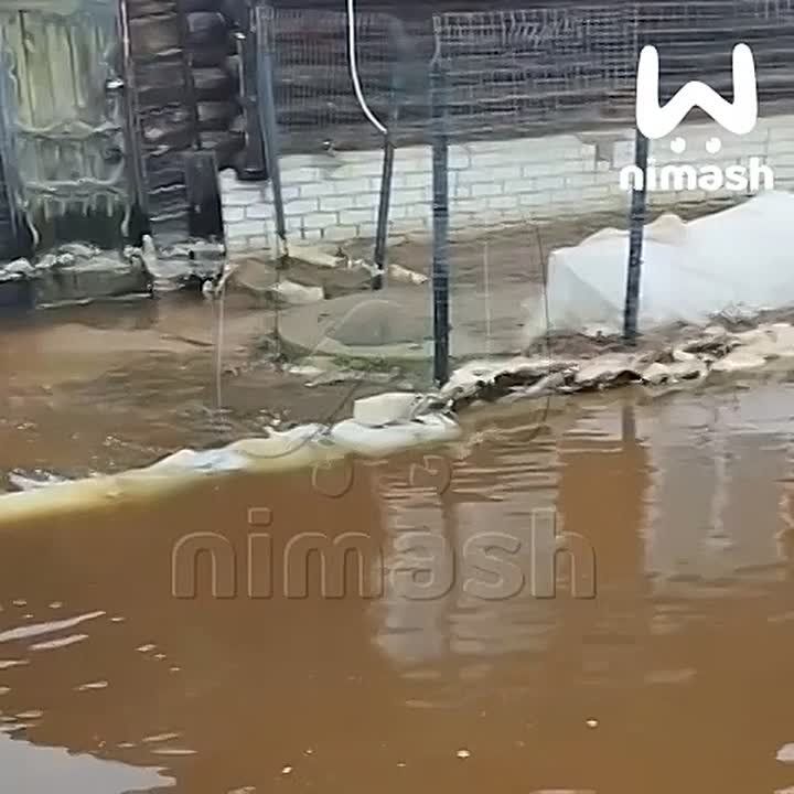 ������� ������ ����� ���� � ����������� ������