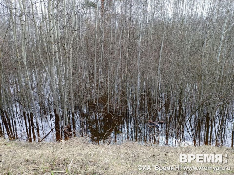 ������� ������ ��������� � ���� ������� � ����� � ������������