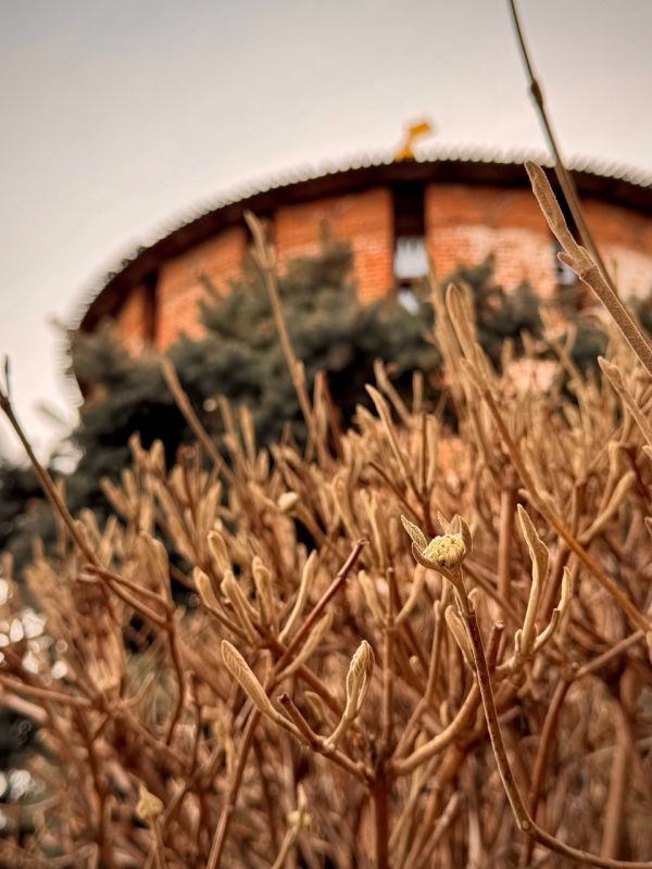 ������ � ������. ���� ������ ������ � ����� ����� � � MAX