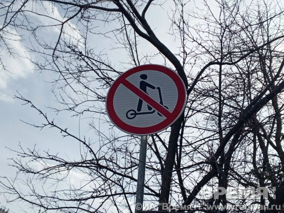 ����� 20 ��� � �������� �� �������� ��� ��������� � ������ ���������