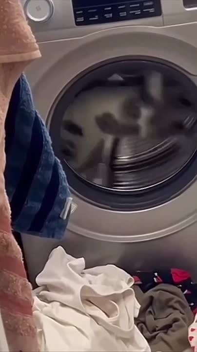 ���������� ���������� - ����� ��������� ���