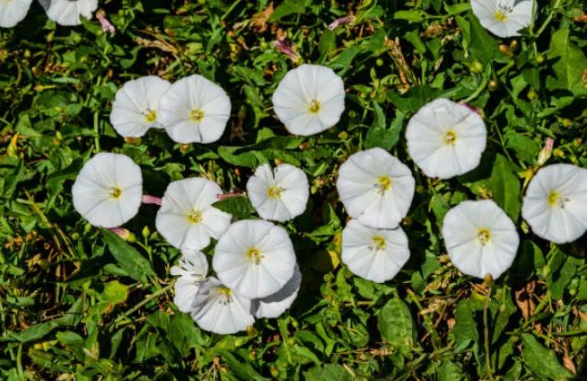 ��� �������� ������: 5 ����������� �������� ���������� �� ����������� �������