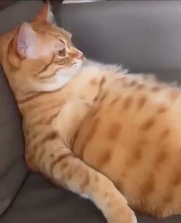 ���������.... ���������� ��������� �����! ���������, �� ��� ���������