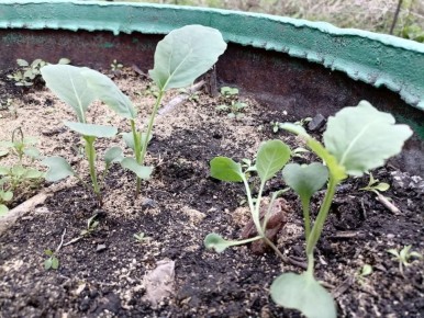 ����� ������ �������: �������� ������ ��� ��������� ������